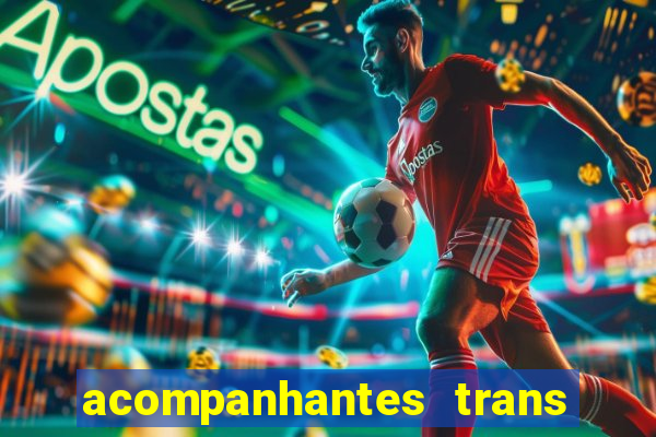 acompanhantes trans baixada fluminense